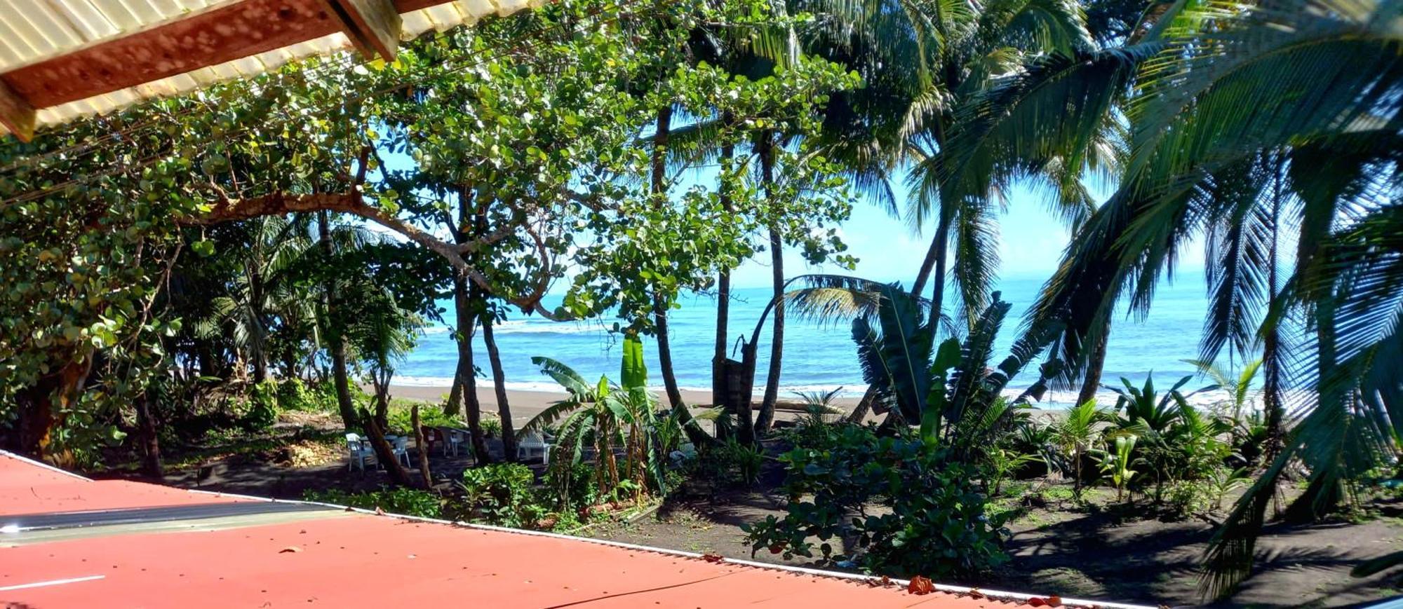 Tortuguero Adventures Beach House Kültér fotó