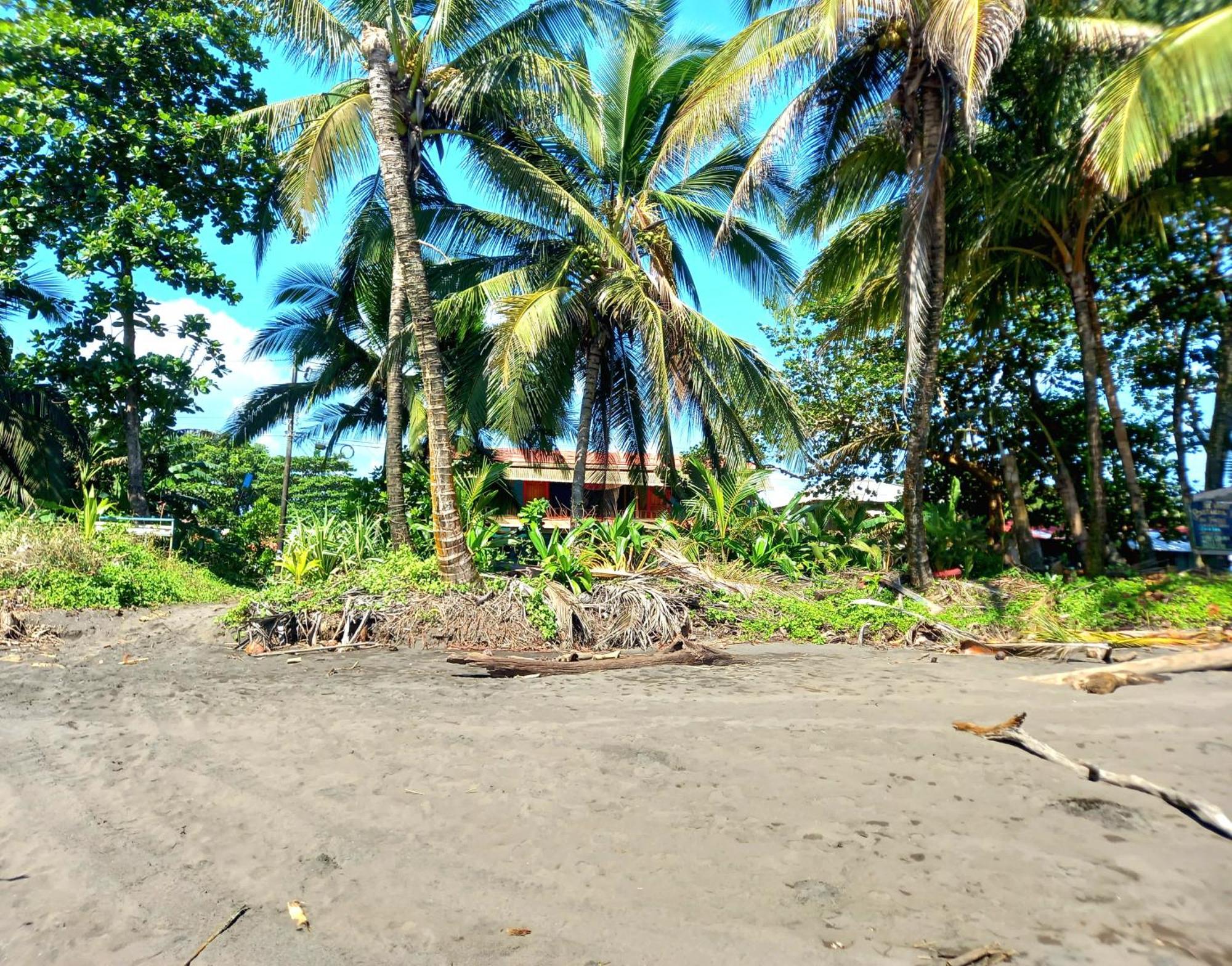 Tortuguero Adventures Beach House Kültér fotó