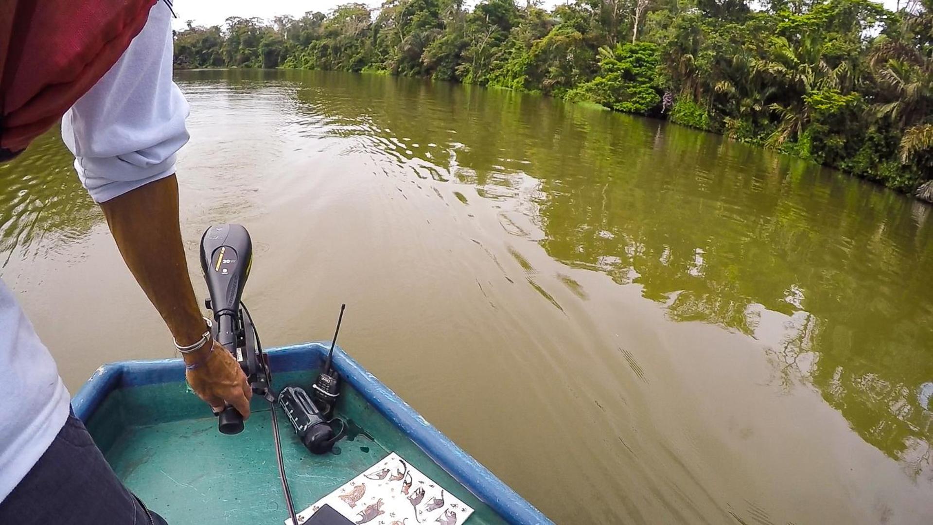 Tortuguero Adventures Beach House Kültér fotó