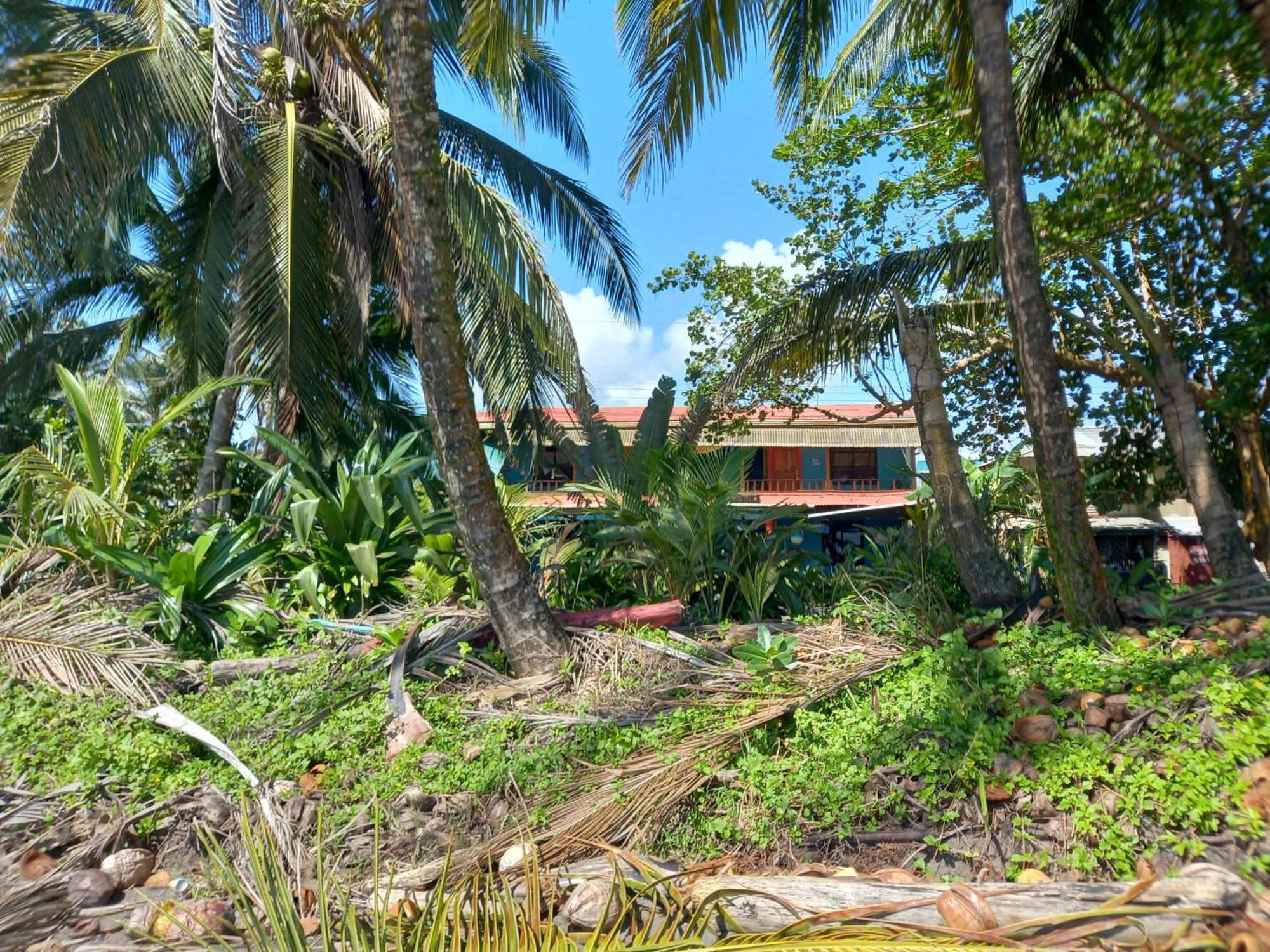 Tortuguero Adventures Beach House Kültér fotó