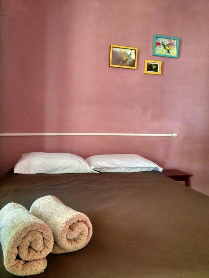 Tortuguero Adventures Beach House Kültér fotó
