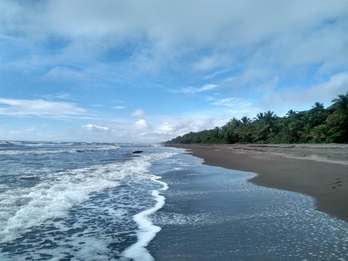 Tortuguero Adventures Beach House Kültér fotó